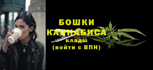 ПСИЛОЦИБИНОВЫЕ ГРИБЫ Нязепетровск
