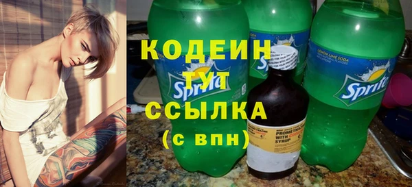 СК Болотное